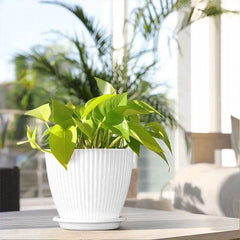 6PCS Simple Plastic Round Plant Pots Vertical Stripes Flower Pot Green Gardening - White