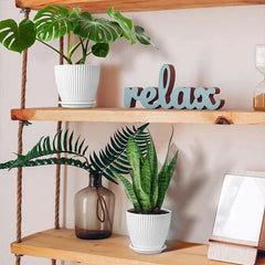 6PCS Simple Plastic Round Plant Pots Vertical Stripes Flower Pot Green Gardening - White