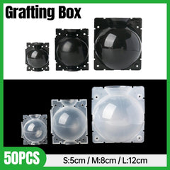 50pcs Plant Rooting Device High Pressure Grafting Box for Seedling Branch Garden - Black M-50PCS