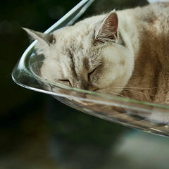Cat Hammock Bed Glass Hanging Basket Clear Pet Nest Elevated Sleeping Bed - White