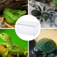 Clear Pet Box Slide Lid Reptile Breeding Habitat Panoramic View Terrarium