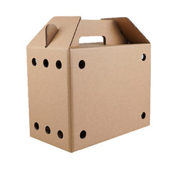 10PCS Disposable Cardboard Pet Carrier - 3 Sizes for Small Animals - 38*28*24CM