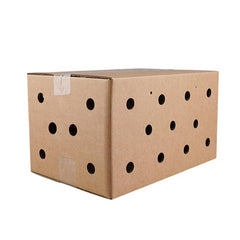 10PCS Disposable Cardboard Pet Carrier - 3 Sizes for Small Animals - 38*28*24CM