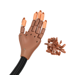 Practice Hand Model for Nail Art Training and Display Manicure with false nails