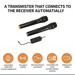 2 x Wireless Microphone Handheld Cordless Professional Mic Karaoke Receiver
