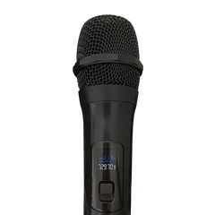 2 x Wireless Microphone Handheld Cordless Professional Mic Karaoke Receiver