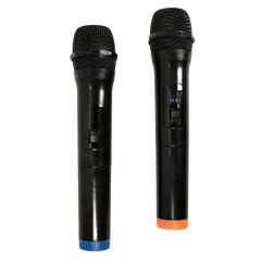 2 x Wireless Microphone Handheld Cordless Professional Mic Karaoke Receiver