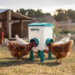 Chicken Feeder Water Food Treadle Poultry Feeding 12KG Large Capacity 11L