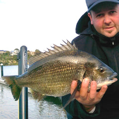 The Diving Lure Fishing Gift Pack