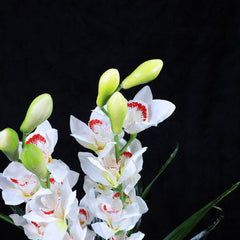 100cm Faux Artificial Home Decor Potted Cymbidium-Red/White - White