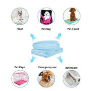 200pcs Dog Absorbent Training Pad 60 x 60 cm