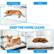 200pcs Dog Absorbent Training Pad 60 x 60 cm