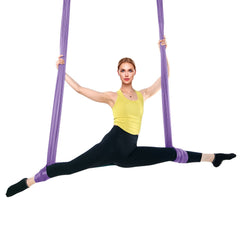 Aerial Yoga Hammock & Swing, 4 m Length, Yoga Starter Kit with 100gsm Nylon Fabric, Full Rigging Hardware and Easy Set-up Guide, Antigravity Flying for All Levels Fitness Bodybuilding, Purple