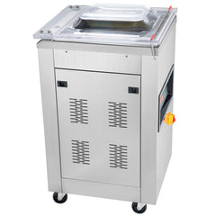 DZ-400/2E Automatic Extra Deep Vacuum Sealer Food Vacuum Sealing Packing Machine 220V