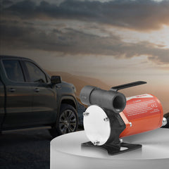 Fuel Transfer Pump 12V 8 GPM 1/6 HP Diesel Pump with Auto Fuel Nozzle