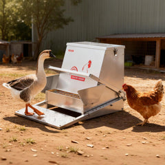 Automatic Chicken Feeder, 18.14 kg Capacity, Rainproof Treadle Poultry Feeder with Lockable Lid, No Waste, Galvanized Steel Construction, Outdoor Use, for Chicken, Bantams, Poultry, Pheasants