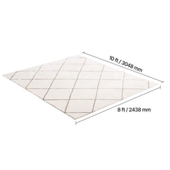 Indoor Plush Area Rugs, 2.44 x 3.05m Plush Carpet, Area Rugs Furry with Long Plushs Pile, Thick & Durable High-Pile Rug for High-Traffic Areas, Bedroom, Non-Shedding & Non-Slip Backing, Beige