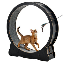 Cat Exercise Wheel, 120 cm Wooden Cat Running Wheel for Indoor Cats up to 12.7 kg, Cats Treadmill with Carpeted Runway & Locking Mechanism, Quiet Kitten Sport Toys for Pets Fitness, Black