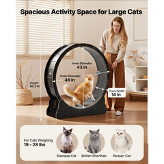 Cat Exercise Wheel, 120 cm Wooden Cat Running Wheel for Indoor Cats up to 12.7 kg, Cats Treadmill with Carpeted Runway & Locking Mechanism, Quiet Kitten Sport Toys for Pets Fitness, Black