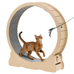 Cat Exercise Wheel, 120cm Wooden Cat Running Wheel for Indoor Cats up to 12.7kg Cats Treadmill with Carpeted Runway & Locking Mechanism, Quiet Roller Kitten Sport Toys for Pets Fitness & Health