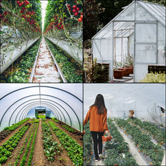 Greenhouse Film, Greenhouse Polyethylene Film 12x25 ft Greenhouse Plastic