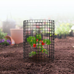 6 Pack Plant Protector from Animals, 320mm Dia. x 355mm H Chicken Wire Plant Protector, Plant Cages for Outdoor Plants, Flowers & Vegetables, Keeps Bunny Chicken Squirrels Out, 18pcs Metal Mesh