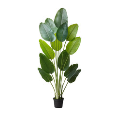 Artificial Bird of Paradise 1829 mm Tall, Fake Tropical Plants with with 13 Trunks & White Pot, Faux Floor Silk Tree, Large Trees for Home Office Living Room Decor House Warming, Indoor Outdoor