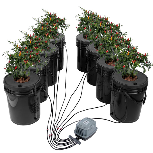 DWC Hydroponics Grow System Deep Water Culture 8 Buckets with Air Pump