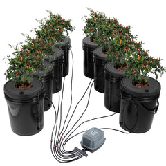 DWC Hydroponics Grow System Deep Water Culture 8 Buckets with Air Pump