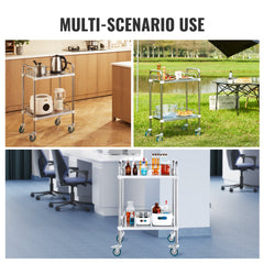 Lab Rolling Cart, 2-Shelf Stainless Steel Rolling Cart, Lab Serving Cart with Swivel Casters, Dental Utility Cart for Clinic, Lab, Hospital, Salon, 15.16"x21.57"x34.06"