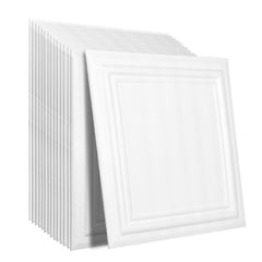 Ceiling Tiles 48-Pack 20 x 20 in Polystyrene Easy Installation Glue-up