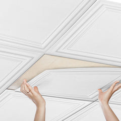 Ceiling Tiles 48-Pack 20 x 20 in Polystyrene Easy Installation Glue-up