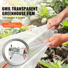 Greenhouse Plastic Sheeting 7.6 x 7.6 m, 6 Mil Thickness Clear Greenhouse Film, Polyethylene Film 4 Year UV Resistant, for Gardening, Farming, Agriculture, Garden