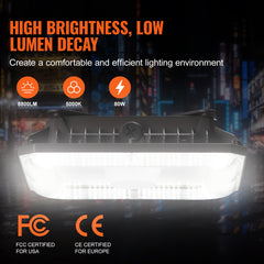 4 Pack LED Canopy Lights 80W 8800LM 5000K Daylight Outdoor Canopy Lighting