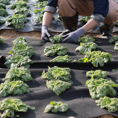 Non Woven Geotextile Fabric Under Gravel, 6x50FT 8OZ Driveway Fabric Landscape Fabric, Heavy Duty Weed Barrier Fabric, Ground Cover Weed Control Fabric, French Drains Drainage Fabric, Black