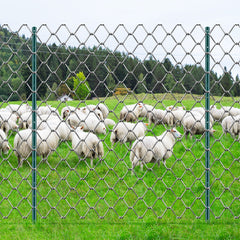 5 Feet Fence Post 10 Pack T-Post Heavy Duty Metal Fence Posts Green