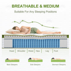 BedStory 34cm Double Latex Hybrid Mattress Medium Firm - 5 Zone Pocket Spring Bed for Pressure Relief Motion Isolation