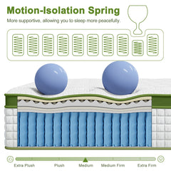 BedStory 34cm Queen Latex Hybrid Mattress Medium Firm - 5 Zone Pocket Spring Bed for Pressure Relief Motion Isolation