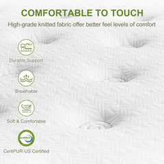 BedStory 34cm Queen Latex Hybrid Mattress Medium Firm - 5 Zone Pocket Spring Bed for Pressure Relief Motion Isolation