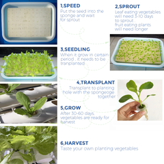 36 Plant Sites Hydroponic Grow Tool Kits Vegetable Garden Planting System Grow Site With 220V Water Pump and Sponge for Leafy Vegetable Home