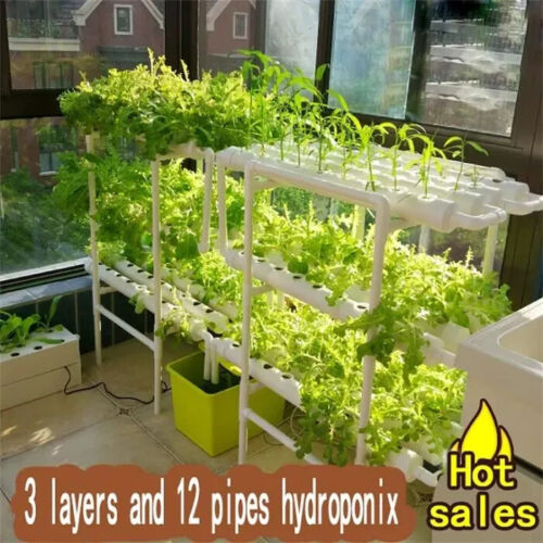 108 Plant Sites Hydroponic Grow Kit