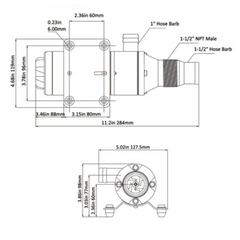 SEAFLO 12V 01-Series DC Macerator Pump – 12GPM Marine Waste Pump with Sealed Motor, 4-Blade Chopper, Ignition Protection, Corrosion-Resistant Design