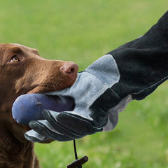 Leather Animal Handling Gloves 60cm Long Cuff Tight Strips Anti Bite Gloves Scratch Resistant Thickened Gloves for Feeding Grooming Training Cat Dog Bird