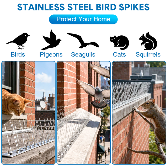 Bird Spikes for Pigeons Possum Small Birds Outdoor Deterrent Stainless Steel Base with 48 Strips for Fence Roof Mailbox Window Anti Bird Nests and Poop