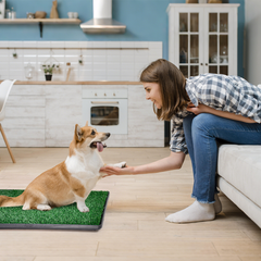 Portable Dog Toilet Large Pet Loo Reusable Puppy Toilet 76x51cm with 2 Artificial Fake Grass Pads Separate Tray Design For Pet Potty Training