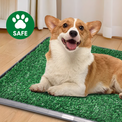 Portable Dog Toilet Large Pet Loo Reusable Puppy Toilet 76x51cm with 2 Artificial Fake Grass Pads Separate Tray Design For Pet Potty Training