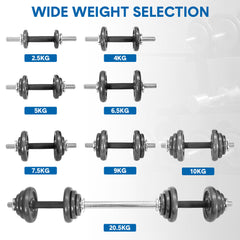 2-In-1 20kg Adjustable Dumbbell Set Cast Iron Weight with Connecting Rod Anti-Slip Grip and Secure Lock Collars for Home Gym Fitness Strength Training Pair