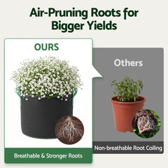 Green Fingers 20 Gallon Grow Bags 300gsm thick Aeration Fabric Pots 10 Pack