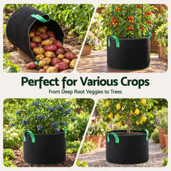 Green Fingers 20 Gallon Grow Bags 300gsm thick Aeration Fabric Pots 10 Pack