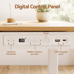 Artiss Motorised Standing Desk with Storage Drawer 120cm Wood White
